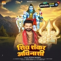 Shiv Shankar Avinashi (Ritesh Pandey)