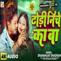 Dhodhi Niche Ka Ba (Dhananjay Dhadkan)