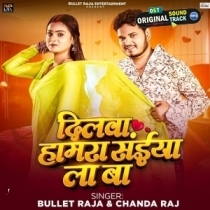 Dilwa Hamara Saiya La Ba (Bullet Raja,Chanda Raj)