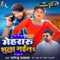 Mehraru Bhula Gaila (Nagendra Ujala)