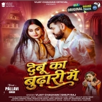 Debu Ka Budhari Me (Vijay Chauhan, Shilpi Raj)